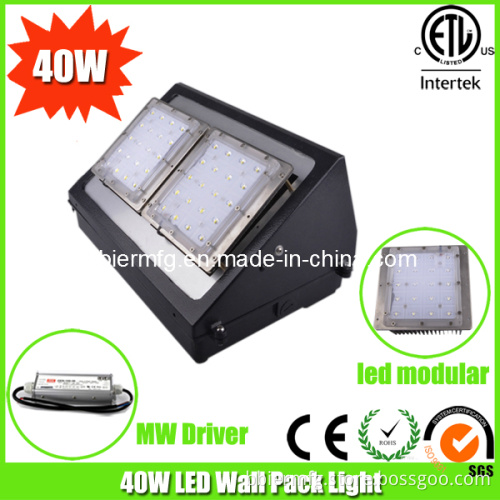Building Lighting Decoration of LED Wall Pack Light Bridgelux LED Chip UL Meanwell Driver Waterproof IP65